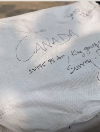 CANADA🇨🇦